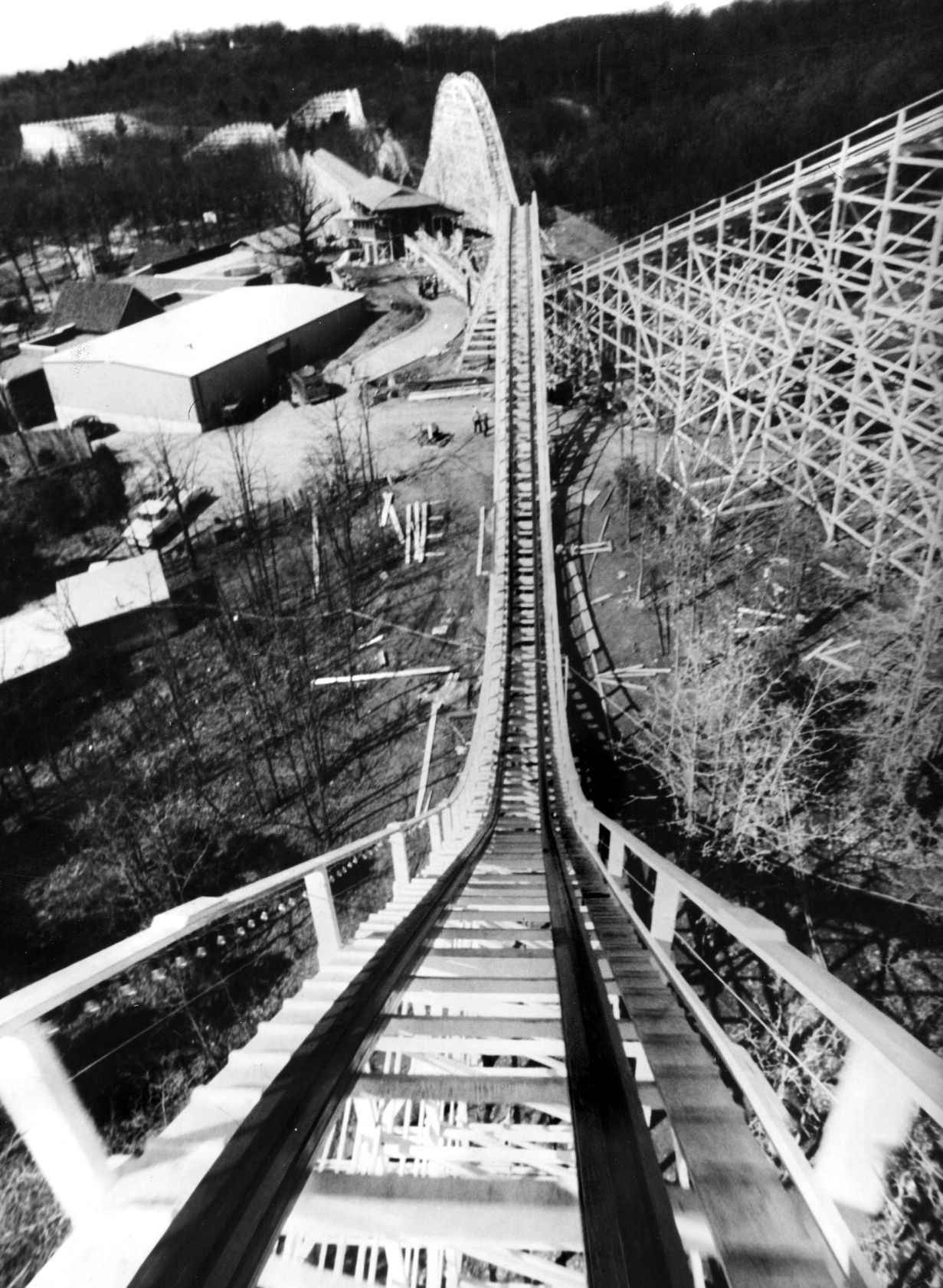 The Six Flags' Screamin' Eagle